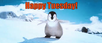 Happy Tuesday Happy Feet GIF - HappyTuesday HappyFeet Penguin ...