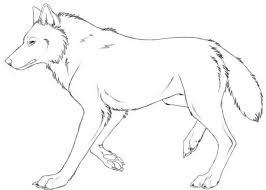 Mehr als 16.000 verschiedene ausmalbilder. Wolf Ausmalbild Wolf Side View Animal Templates Bear Drawing