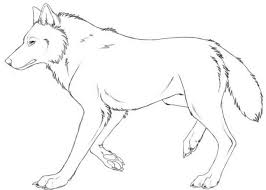 Ausmalbilder wolf zum ausdrucken 1ausmalbildercom wolf zum ausmalen ausmalbilder ausmalbilder ausdrucken wie zeichnet man einen wolf ausmalbilder wolf zum ausdrucken. Wolf Ausmalbild Ausmalbilder Fur Kinder Wolf Malen Ausmalen Rotkappchen Und Der Wolf