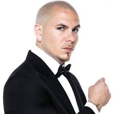 List of songs with songfacts entries for pitbull. Pitbull Hotel Room Service