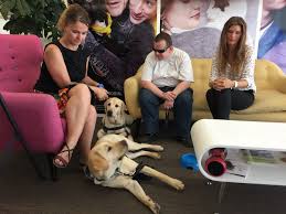 We did not find results for: Devenir Chien Guide Pour Aveugle Santevet