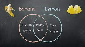 Department of education, office of special education programs. Venn Diagram Youtube