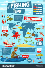 Fishing Infographic Sea Fish Catch Diagrams Stock Image