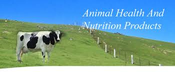 Yew seng huat trading was first established in 1975 in singapore. Malaysian Animal Health And Nutrition Industries Association