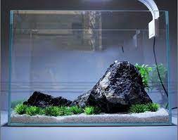 Best Price Super Slim Led Aquarium Light Lighting Plants Grow Light 5w 10w 15w Aquatic Plant Lighting Fish Tank Plants Aquarium Lighting Grow Lights For Plants