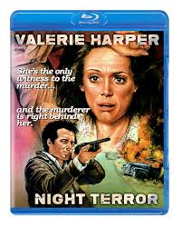 Image result for Night Terror