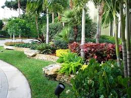 Garden Landscape Ideas Plants Photograph Landscape Garden Florida Landscaping Tropical Landscaping Landscaping With Rocks