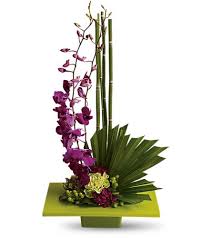West palm beach new homes and condo developments. Zen Artistry In West Palm Beach Fl Camile S Flowers And Gifts