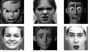 Real Time Facial Expression Recognition Data Driven