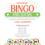 Senior Social and Bingo