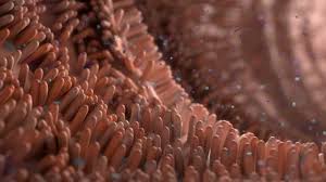 Why is it important to investigate symptoms of cancer: Bowel Cancer Rates Are Rising In Young Adults But Do We Know What S Behind The Increase Cancer Research Uk Cancer News