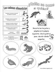 Habla con ellos, dales de comer, cuídalos y pronto tendrás un amigo!!! Cadena Alimenticia Science English Spanish Suscribete Y Recibe Un Sinnumero De P Ciencia Natural Ciencias De La Naturaleza Cuadernos Interactivos De Ciencias