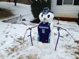 Charlotte Rollin' Hornets