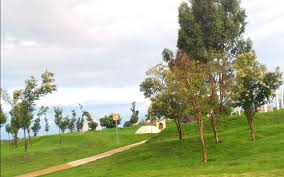 Image result for parque