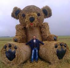 Gigantic Straw Teddy Bear By Alberta Farmers Thank You Giant Teddy Big Teddy Bear Teddy