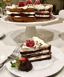 Although flourless, fudgy, and somewhat dense, this cake doesn't sink in your stomach. Lighter Than Air 3 Layer Chocolate Cake Passover Dinner At Sheila S