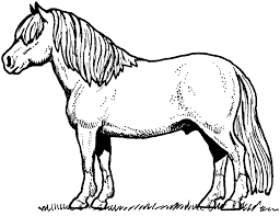 Printable Coloring Pictures Of Horses Coloring Online
