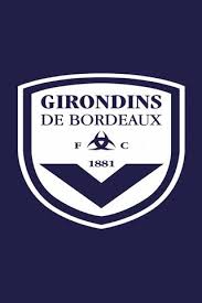 Ligue 1, ligue des champions, uefa The Girondists Column Bordeaux France Wallpaper Download To Your Mobile From Phoneky