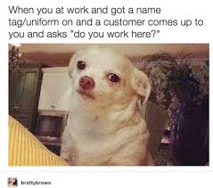 27 Animals Hilariously Embodied What It Means To Be Human Funny Animal Memes Funny Memes Funny Pictures