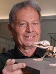 THE AFRICAN ELEPHANT UNDER THREAT