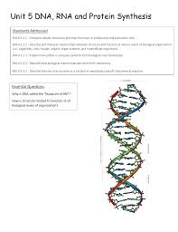 For each statement, write a p if it best applies to prokaryotes only, e if it best applies to let's do a recap of the structures discovered inside the cell after the video tour! Unit 5 Dna Rna And Protein Synthesis