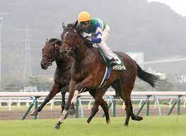 ほうずきみたいに紅い魂 ⅱ ルーネイトエルフ ⅲ 上海紅茶館 ～ chinese tea ⅳ ヴワル魔法図書館 ／ ラクトガール ～ 少女密室 ⅴ メイドと血の懐中時計 ／ 月時計 ～ ル. å°å€‰2æ­³s ãƒ¡ã‚¤ã‚±ã‚¤ã‚¨ãƒ¼ãƒ«v æ­¦è±Š ä¹—ã‚Šå'³ã¯æŠœç¾¤ã ã£ãŸã—å¼·ã‹ã£ãŸ ã‚¹ãƒãƒ‹ãƒ Sponichi Annex ã‚®ãƒ£ãƒ³ãƒ–ãƒ«