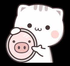 Cutie Cat Chan Five Cute Cartoon Images Cute Cartoon Pictures Cute Cartoon Wallpapers