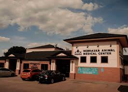 Caring for your pet's health like they were our own. Nebraska Animal Medical And Emergency Center Veterinarian Lincoln Pet Boarding Grooming