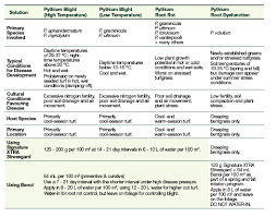 Pythium