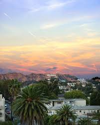Discover Los Angeles On Instagram Tiffanysbell A Hollywood Ending To The Day Lathroughmywindow Los Angeles Wallpaper Instagram City Of Angels