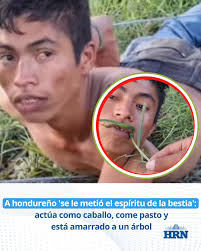 🔵Escalofriante caso: hondureño es señalado de estar poseído por el  "espíritu de la bestia". 👇  https://www.radiohrn.hn/hondureno-caso-viral-espiritu-copan-caballo-video-2022-09-17?utm_campaign=SOCIAL_MD