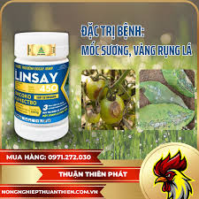 Dosay 45WP