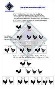 genetics breeding chart chicken breeds chart rooster