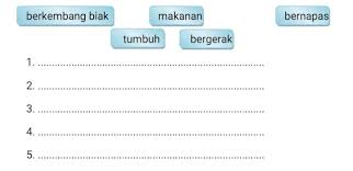 Check spelling or type a new query. Jawaban Bahasa Inggris Halaman 21 Kelas 12 Guru Jpg
