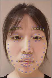 Hypomimia Recognition in Parkinson's Disease With Semantic Features