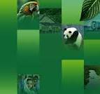 The World's Leading Supplier of Solar PV Solutions - LONGi