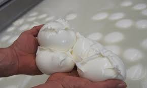 Hoteles cerca de caseificio san bernardino: Guida Venti Caseifici Dop A Caserta Dove Acquistare L Autentica Mozzarella Di Bufala Campana Luciano Pignataro Wine Blog