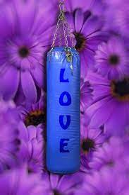 Check spelling or type a new query. Flowers Lyrics Decoration Spend Alegre Text Pikist