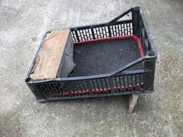 Dscf0013 Jpg Servimg Com Site Gratuit Ce Gazduieste Imagini Chickens Backyard Breeds Chickens Backyard Beautiful Chickens