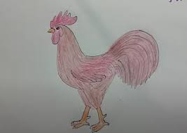 Download easy pictures to draw and use any clip art,coloring,png graphics in your website, document or presentation. How To Draw A Rooster Step By Step Chicken Drawing Easy For Beginners Htfunny