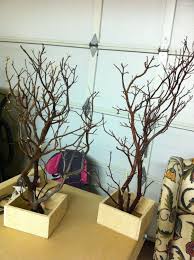 Maybe you would like to learn more about one of these? Shipped 12 Diy Manzanita Tree Centerpiece 35 50 Via Etsy Weddingsideasdiyce Diy Wedding Centerpieces Branches Manzanita Tree Manzanita Tree Centerpieces