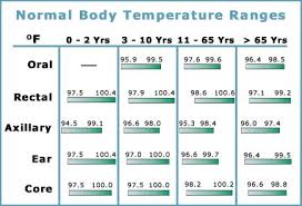 Baby Fever Baby Fever Temperature Chart Celsius
