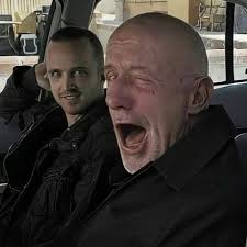 Jonathan Banks, famously known as Mike Ehrmantraut from the iconic show  Breaking Bad, has built a career