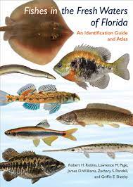 Buy Fishes In The Freshwaters Of Florida Book Online At Low Prices In India Fishes In The Freshwaters Of Florida Reviews Ratings Amazon In