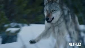 Weitere ideen zu wolf, wolf zeichnung, wolfskunst. Wolfsnachte Die Filmstarts Kritik Auf Filmstarts De