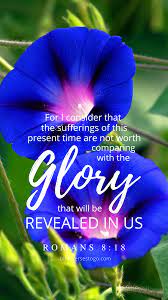Blue Glory Romans 8 18 In 2020 Flower Bible Verse Bible Verse Background Romans 8 18