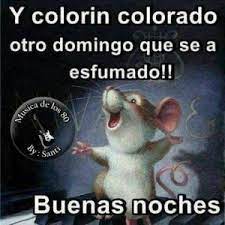 Mejores 40 Imagenes De Buenas Noches Chistosas Mejores Imagenes Good Night Quotes Humor Feelings