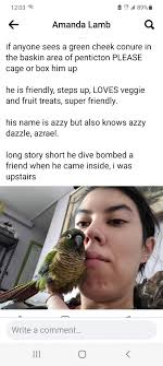 Anyone looking for this lil guy? Can't fly