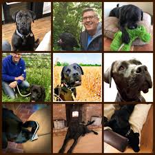 Elinor Perry (@ElinorPerry)