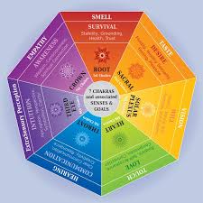 7 chakras color chart with mandalas senses and associated